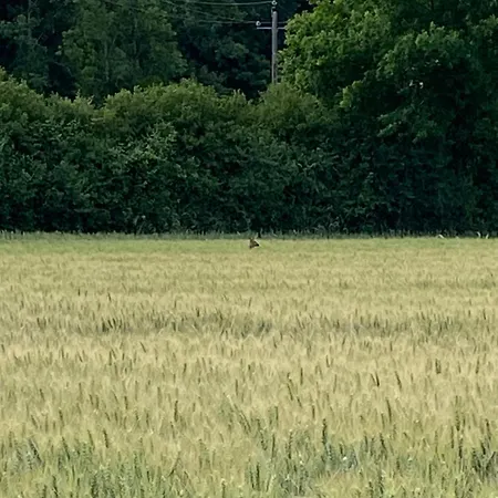 Hébergement de vacances La Grange, De Campagne Proche Benon Et La Rochelle *