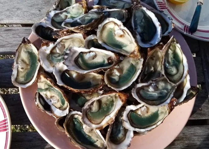 Дом отдыха La Grange, De Campagne Proche Benon Et La Rochelle Saint-Georges-du-Bois (Charente-Maritime)