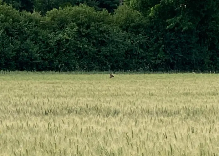 Дом отдыха La Grange, De Campagne Proche Benon Et La Rochelle *
